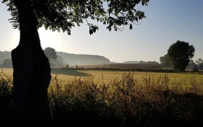 Camperroute: Bourgondisch genieten in Zuid-Limburg