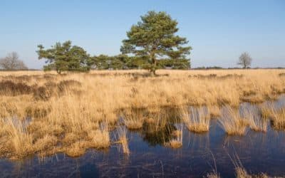 Op avontuur met de camper in Nationaal Park “De Groote Peel”