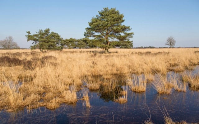 Op avontuur met de camper in Nationaal Park “De Groote Peel”
